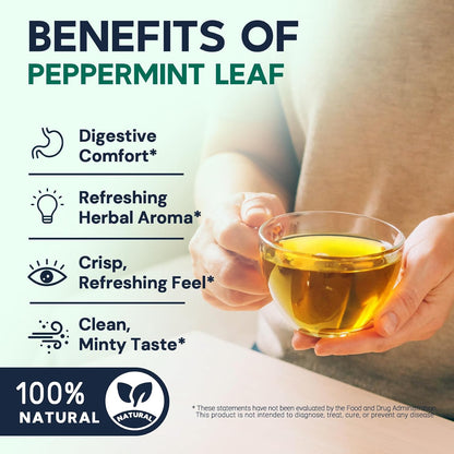 Lemon Balm Tea Bags, Pure & Natural Melissa Officinalis Herbal Tea, Premium Dried Lemon Balm Leaf with Naturally Lemony & Citrusy Flavor, Caffeine-Free, Non-GMO, 100 Count