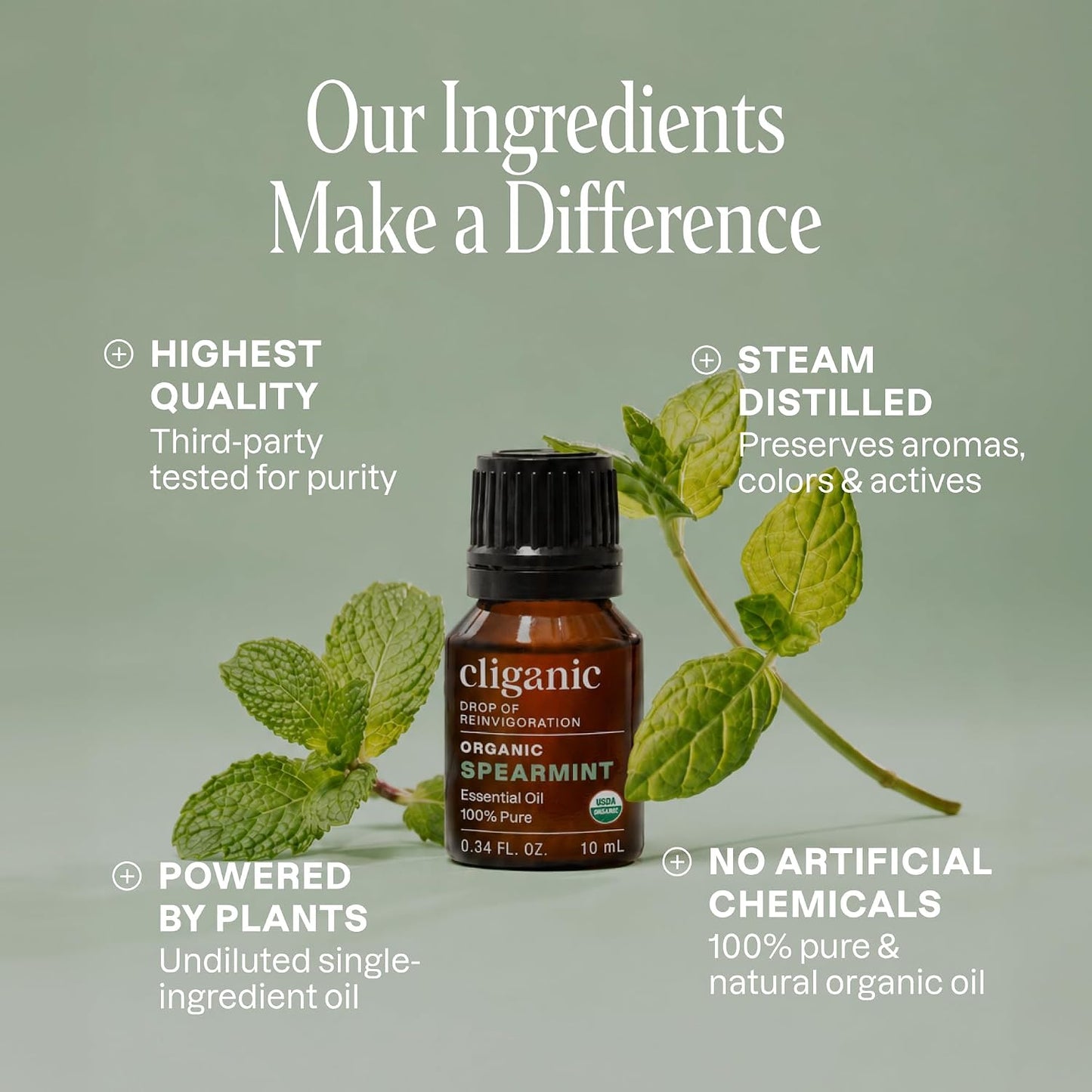 Cliganic Organic Lavender Essential Oil - 100% Pure Natural Undiluted, for Aromatherapy Diffuser | Non-GMO Verified - Colors A