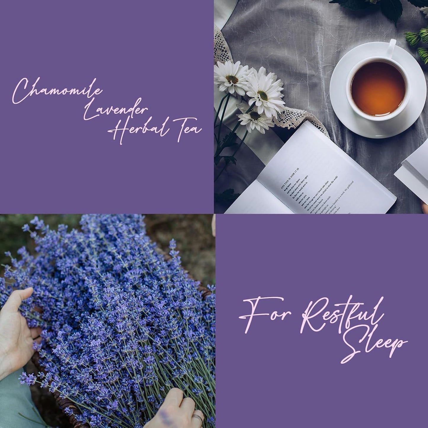Life Plus Style Gourmet Pagoda Garden Chamomile Lavender Herbal Tea Caffeine Free Hot or Iced Floral Blend Natural Delicious Sleep Tea 60 Tea Bags