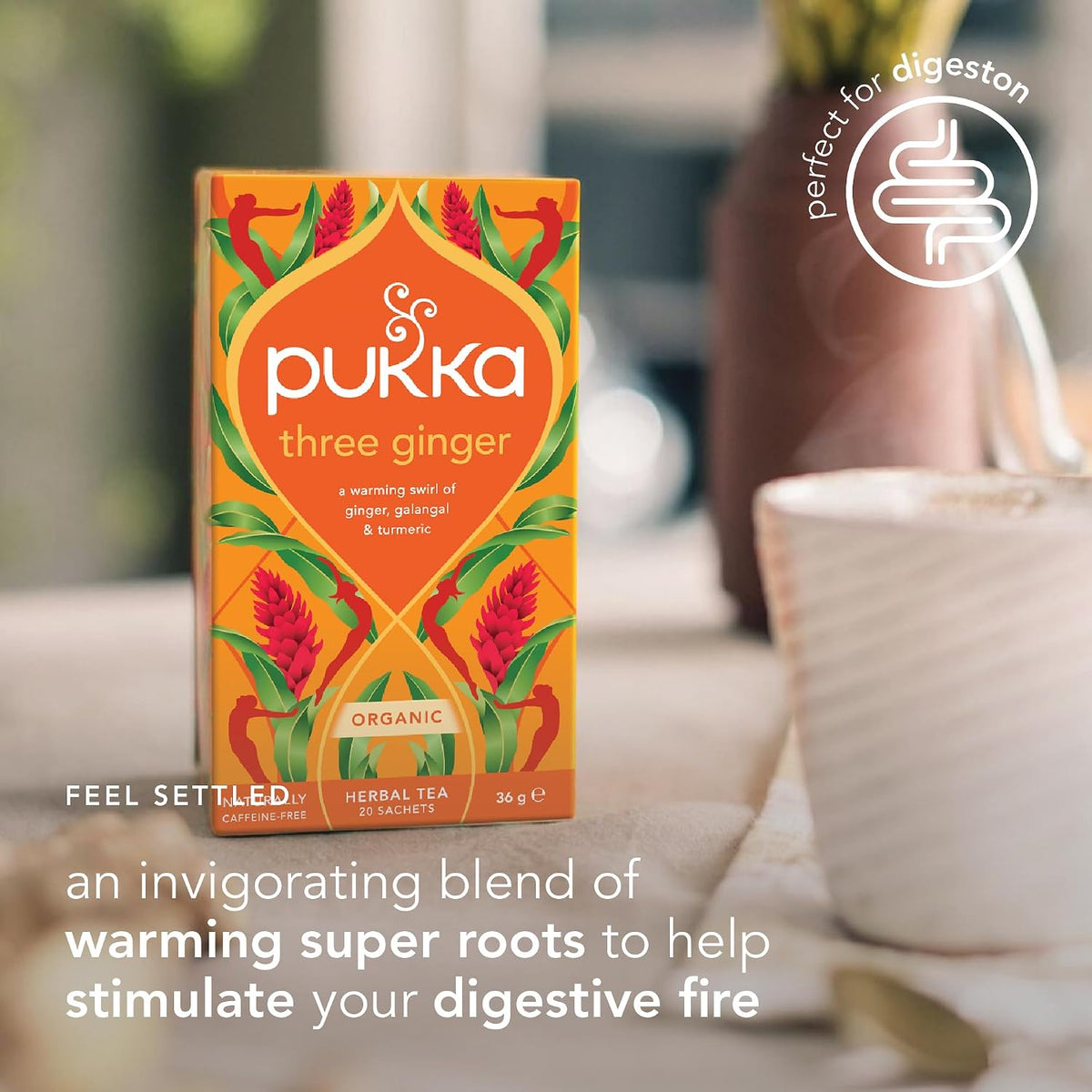Pukka Three Ginger Organic Herbal Tea Bags 4-Pack Caffeine Free Digestive Wellness Infusion with Turmeric Galangal Licorice for Digestion and Bloating Relief