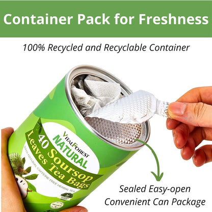 60 Lemon Balm Tea Bags - VitalForest Dried Lemon Balm Leaves Tea -1.5g/Bags, Calming Herb, Stress Relief & Sleep Support, Non-GMO, Caffeine-Free