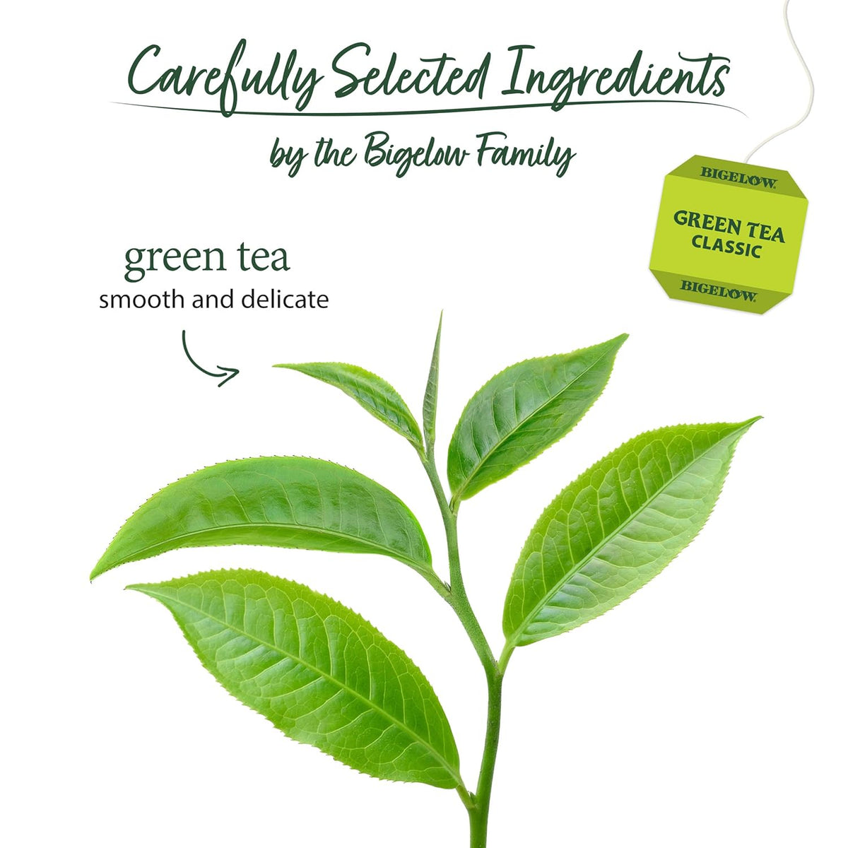 Bigelow Tea Classic Green Tea, 20 Count (Pack of 6)