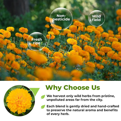 30 Bags Dried Marigold Bur Marigold Herb Tea Marygold Tea (Bidens Tripartita L.) - 30 Count 2 g Bags 100% Chereda Bur-Marigold Cáñamo Acuático