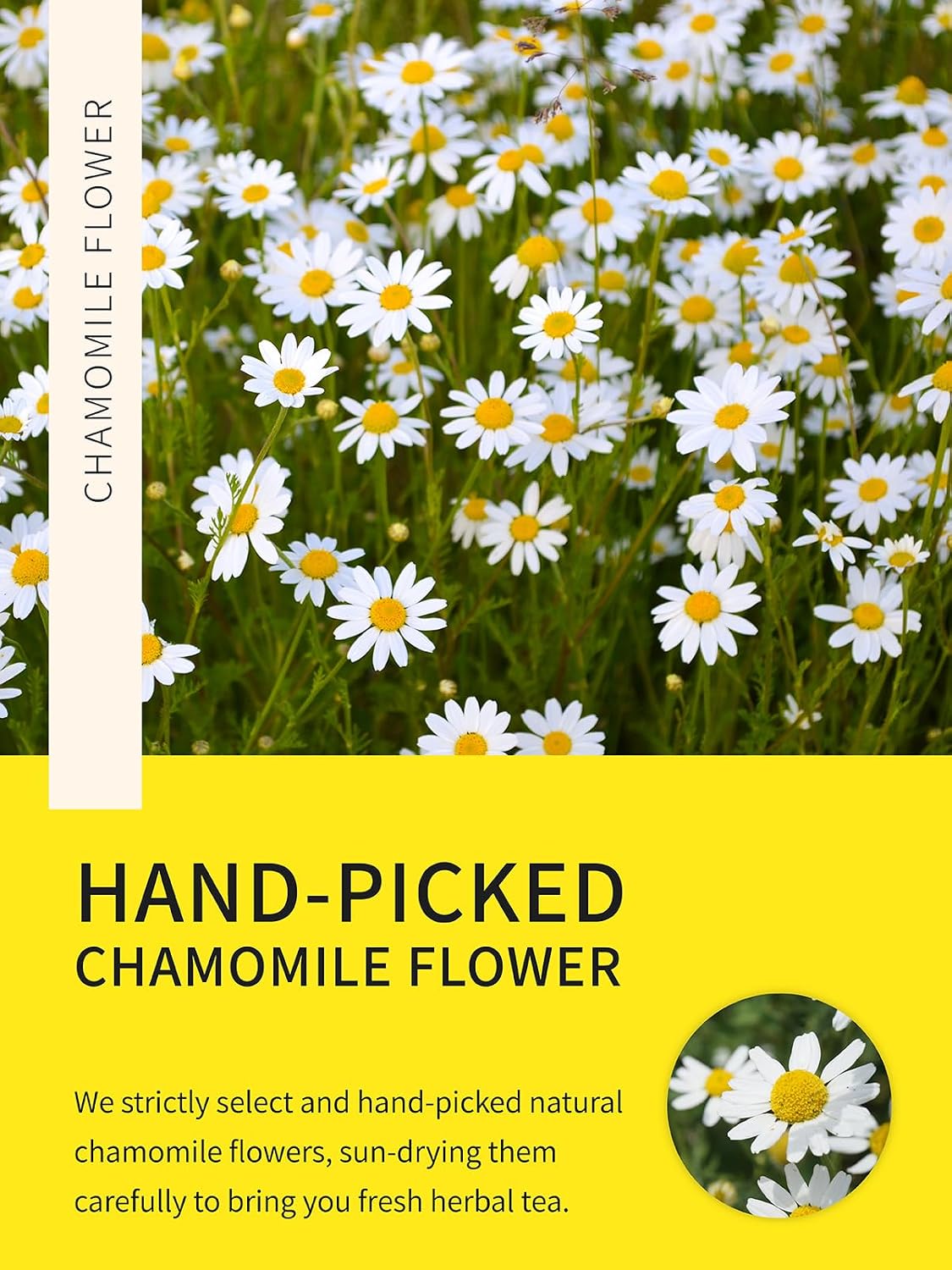 TeeLux Chamomile Tea Bags, 1.5g/bag, Pure Natural Chamomile Flowers Herbal Tea, Caffeine Free, 100 Count