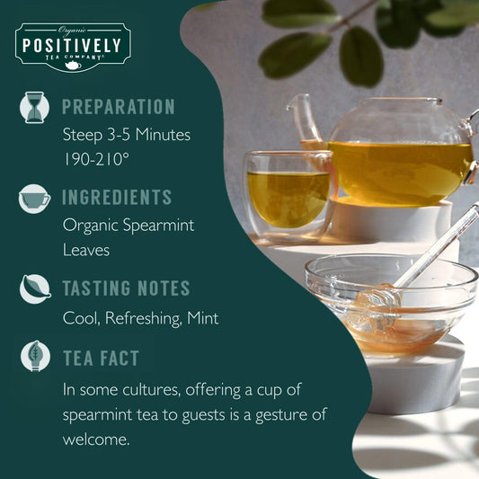 Positively Tea, Organic Spearmint Leaf Herbal, 100 Ct Tea Bag Value Pack