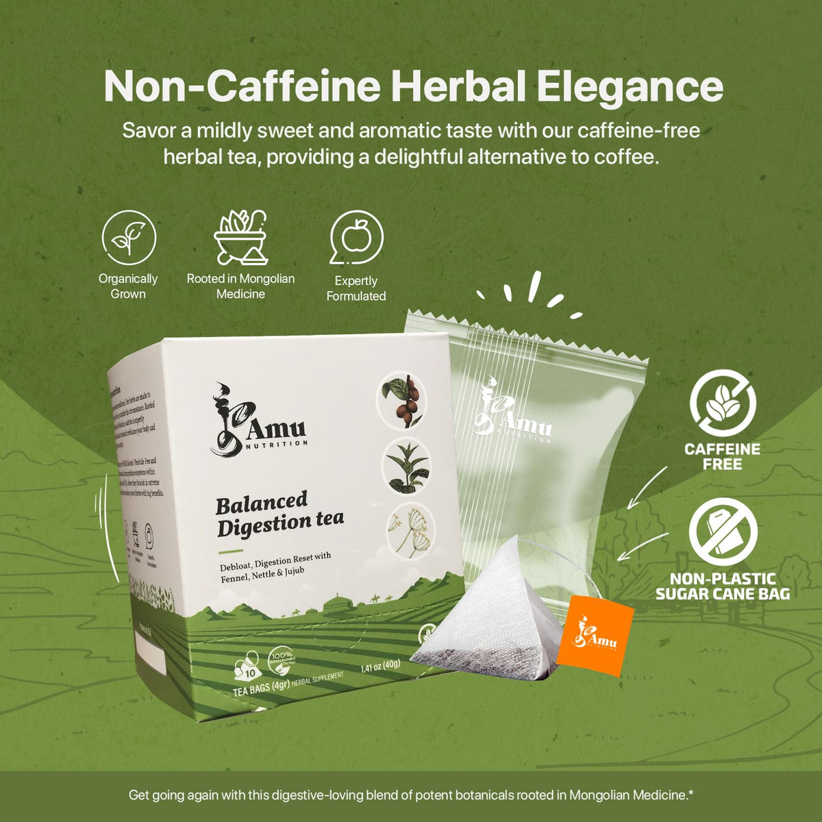AMU NUTRITION - Digestion Tea - 10 non-plastic teabags