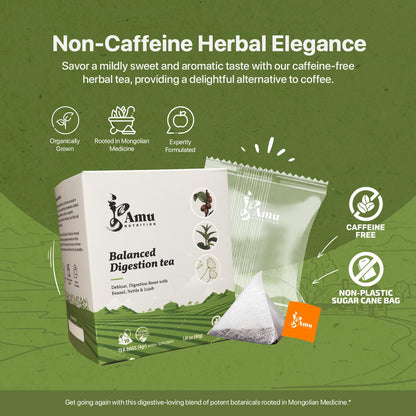 AMU NUTRITION - Digestion Tea - 10 non-plastic teabags