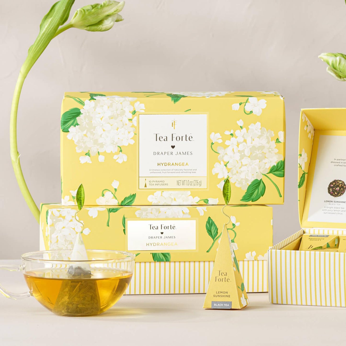 Tea Forte Premium Presentation Box Gift Set Sampler, 20 Count, Assorted Blends Individually Wrapped Handcrafted Pyramid Infuser Bags, Frank Lloyd Wright
