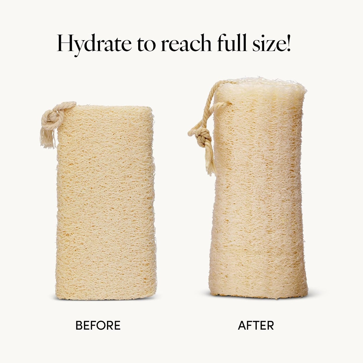 LATHER - Natural Sea Wool Sponge, 5-6" - Organic Exfoliating Body Scrubber - Soft, Gentle Cleansing - Hypoallergenic - All Skin Types - Florida Natural Loofah Sponge - Cruelty Free - Beauty & Skincare