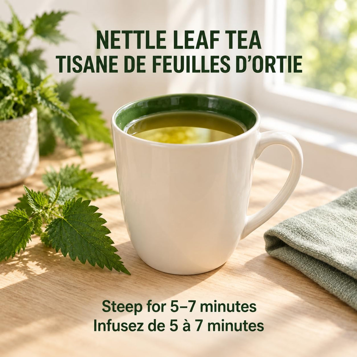 Tozzy Organic Nettle Leaf Tea – 100 Count, Plant-Based Pyramid Tea Bags