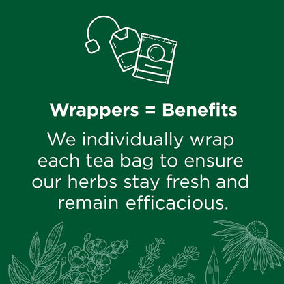 Traditional Medicinals Organic Spearmint, 48 Tea Bags