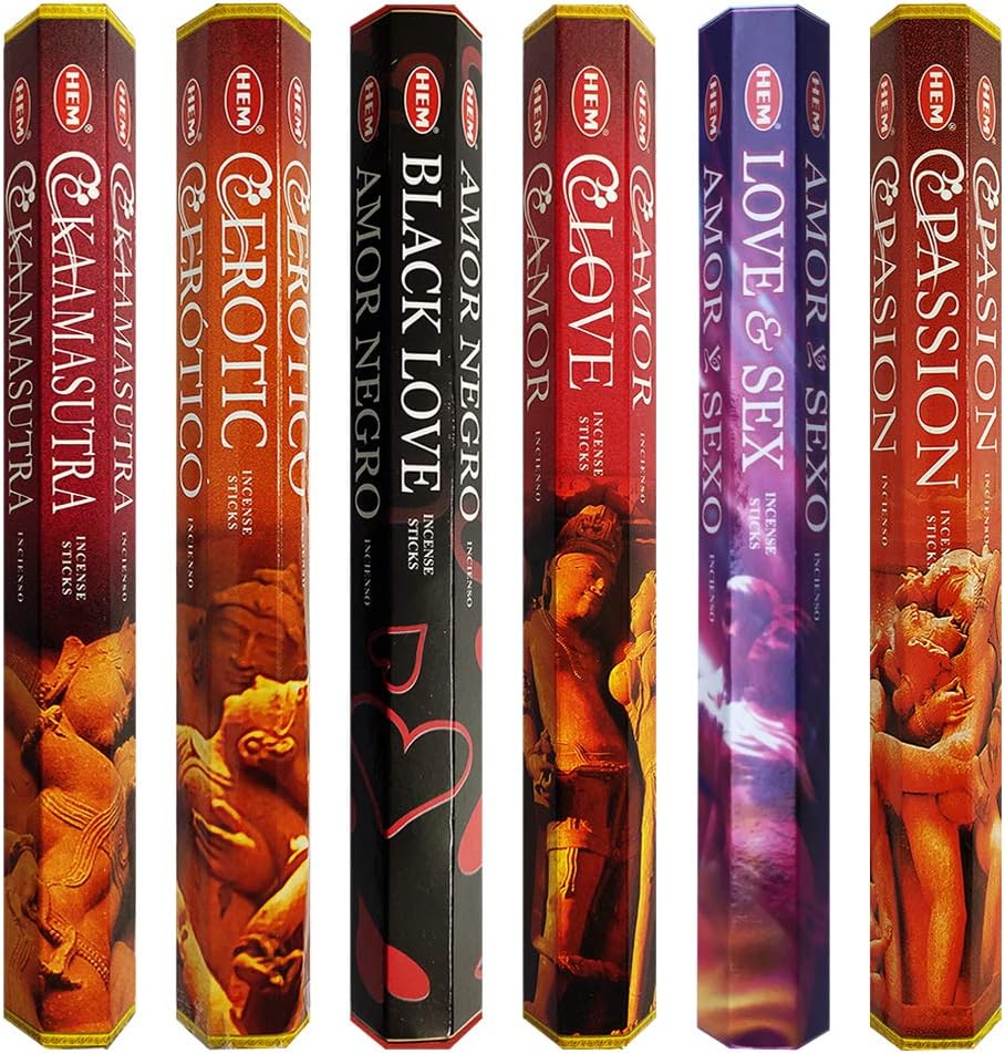 Hem Incense Sticks Variety Pack #23-120 Insence-Sticks (6 Incents x 20 Insense) + Incense Stick Holder with 6 Most Liked Scents Including Patchouli Dragons Blood White Sage Frankincense-Myrrh