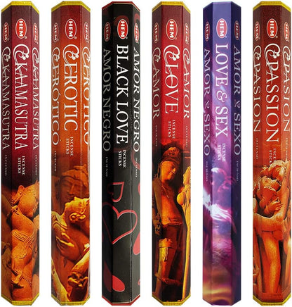 Hem Incense Sticks Variety Pack #23-120 Insence-Sticks (6 Incents x 20 Insense) + Incense Stick Holder with 6 Most Liked Scents Including Patchouli Dragons Blood White Sage Frankincense-Myrrh