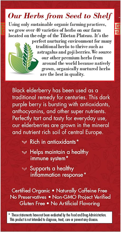 Bravo Tea Absolute Elderberry Herbal Tea Caffeine Free, 20 Tea Bags