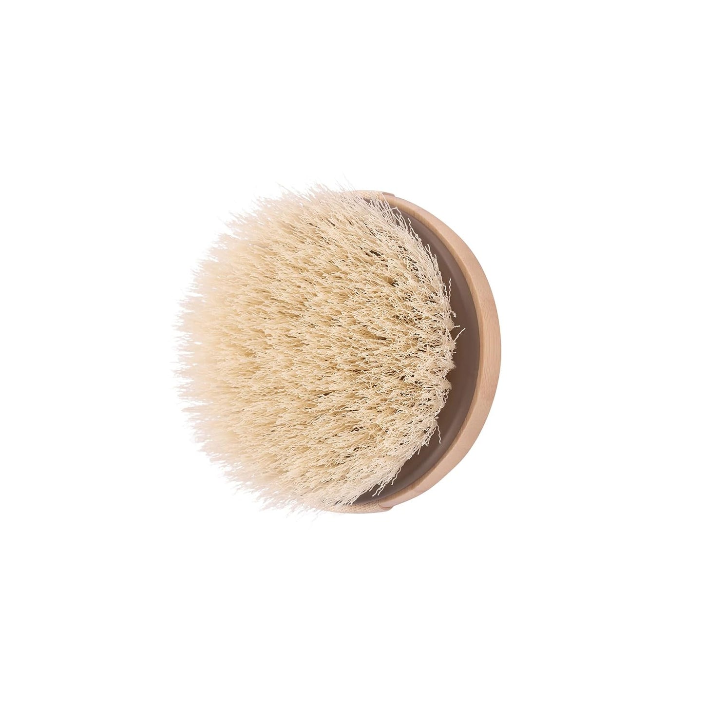 EcoTools Dry Body Brush, for Post Shower & Bath Skincare Routine, Removes Dirt and Promotes Blood Circulation, 1 Count