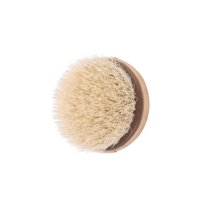 EcoTools Dry Body Brush, for Post Shower & Bath Skincare Routine, Removes Dirt and Promotes Blood Circulation, 1 Count
