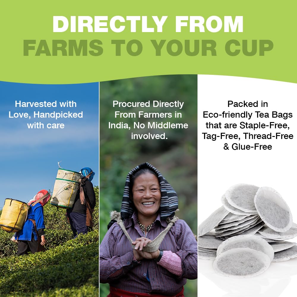 HANDPICK Organic Green Tea Bags (100 Count) USDA Organic,Fragrant Green Tea
