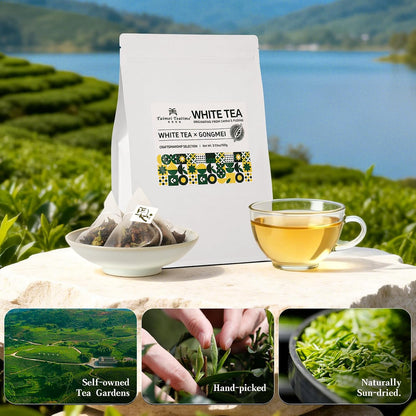 Taimei Teatime Gongmei Pyramid White Tea Bags Loose Leaf Bags 35 ct, 3.53oz