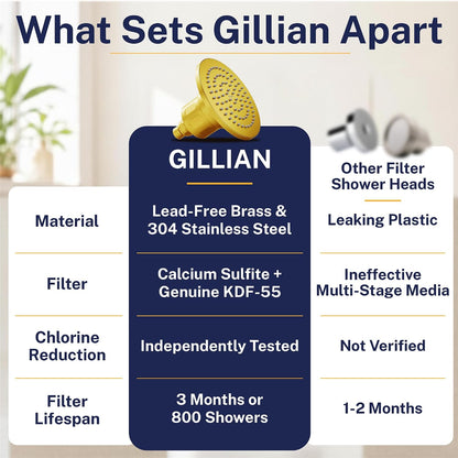 Gillian Metal Filtered Shower Head High Pressure, KDF-55 Removes Chlorine