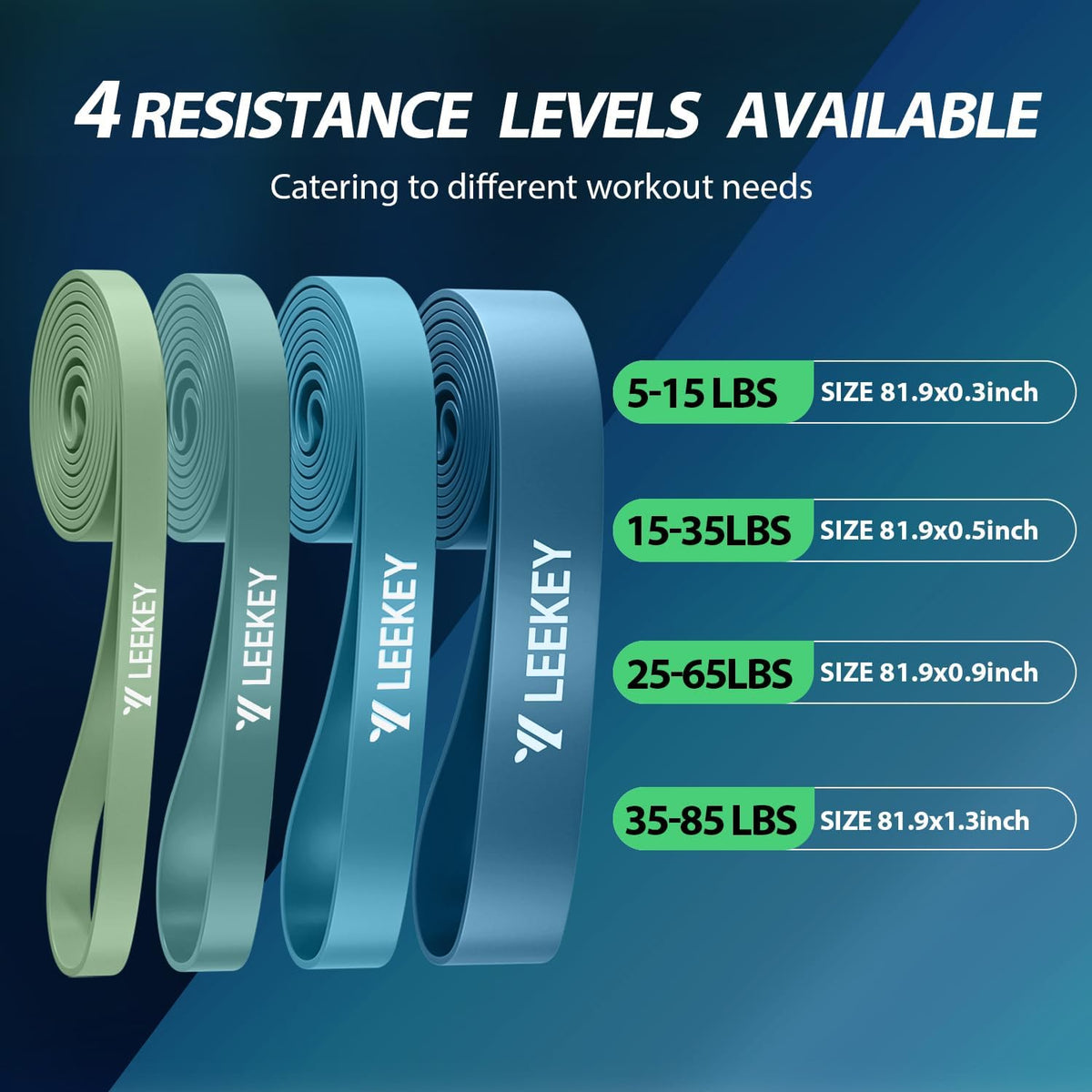 Resistance Bands for Pull Up Assist, Stretch Bands & Exercise Workout Set