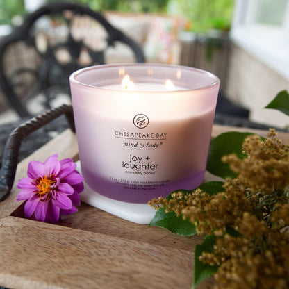 Chesapeake Bay Candle Scented Candle Serenity + Calm (Lavender Thyme) Coffee Table Home Décor