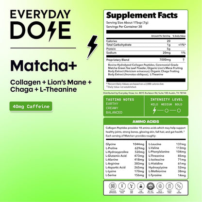 Everyday Dose Mushroom Matcha+ Ceremonial Grade Matcha Powder - Japanese Tea With Grass-Fed Collagen, Lion's Mane, Chaga, L-Theanine - For Better Focus, Energy, Digestion and Immunity - 30 Servings