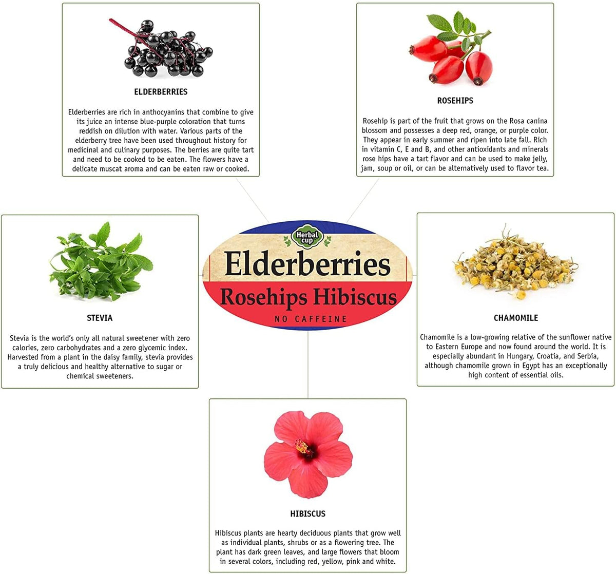 Herbal Cup Ayurveda Elderberries Tea, Organic Rosehips Hibiscus, No Caffeine Herbal Supplement (16 Count, Pack of 1)