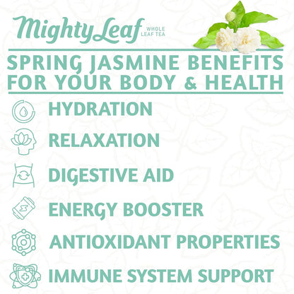 Mighty Leaf Spring Jasmine Green Tea - Premium - Foil Wrapped for Freshn - 100 Count Tea Pouches - Premium Green Tea with Rich Flavor - Individually Wrapped Tea Bags