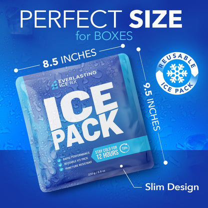 Rapid Performance Reusable Ice Packs for Coolers or Lunch Box | 4 Pack | Cold for Up to 12 Hours | Ice Packs for Cooler, Long Lasting for Camping, Beach