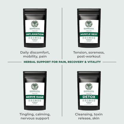 Elephantal Wellness Premium Inflammation Herbal Tea | Comfort & Mobility Blend with Turmeric, Boswellia, White Willow Bark & Ginger | Handmade, Non-GMO, Caffeine-Free Loose Leaf, 2oz, 20 Servings