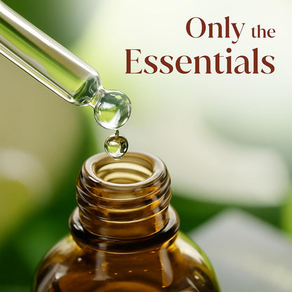 Siva Lavender Essential Oil, Huge Bottle, Large Size, 16 Fl Oz (473 ml)