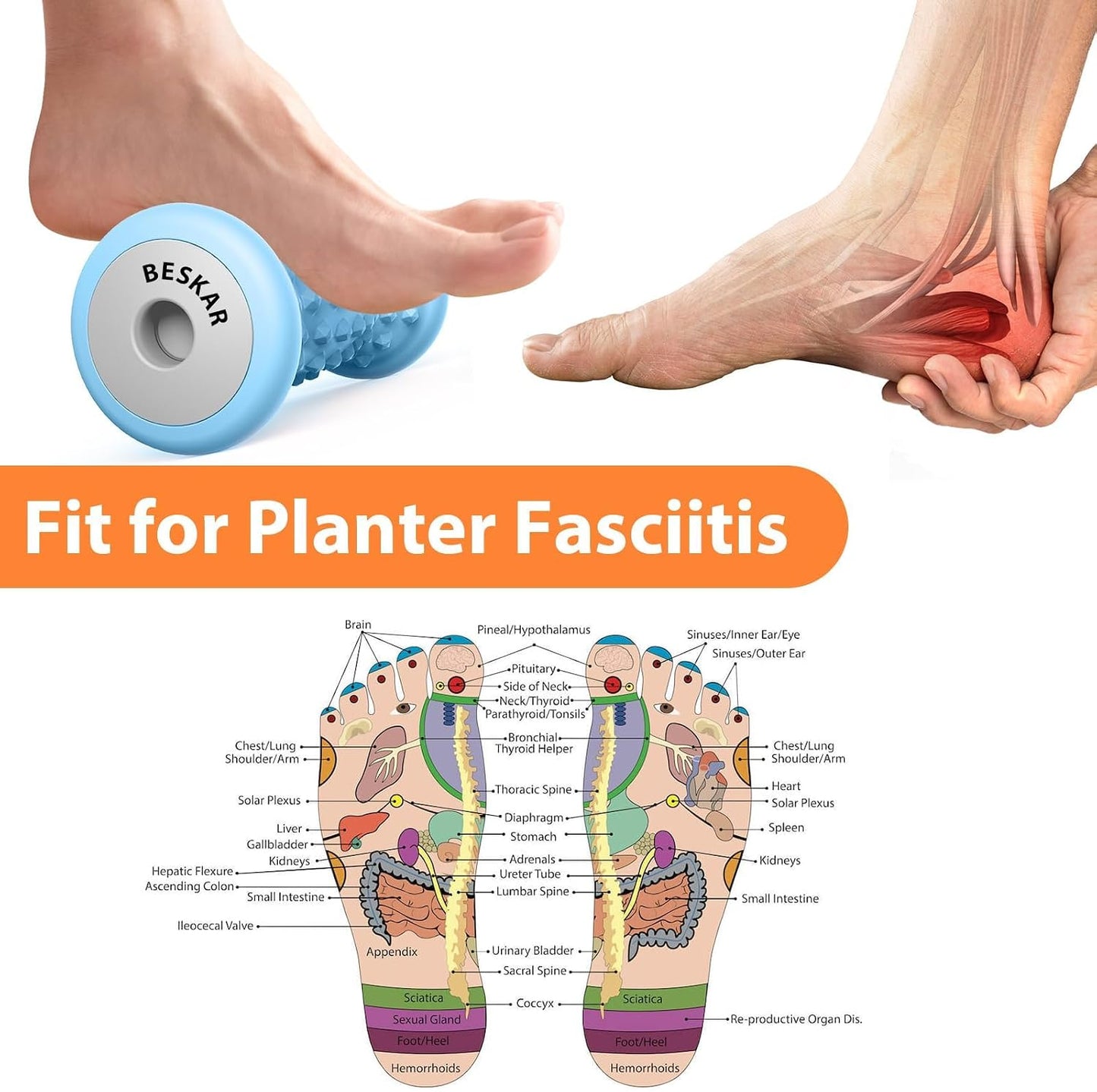 BESKAR Foot Massager Roller for Plantar Fasciitis Relief, Portable, Deep Tissue Muscle Massage, Foot Arch and Heel Pain, Reflexology Tool