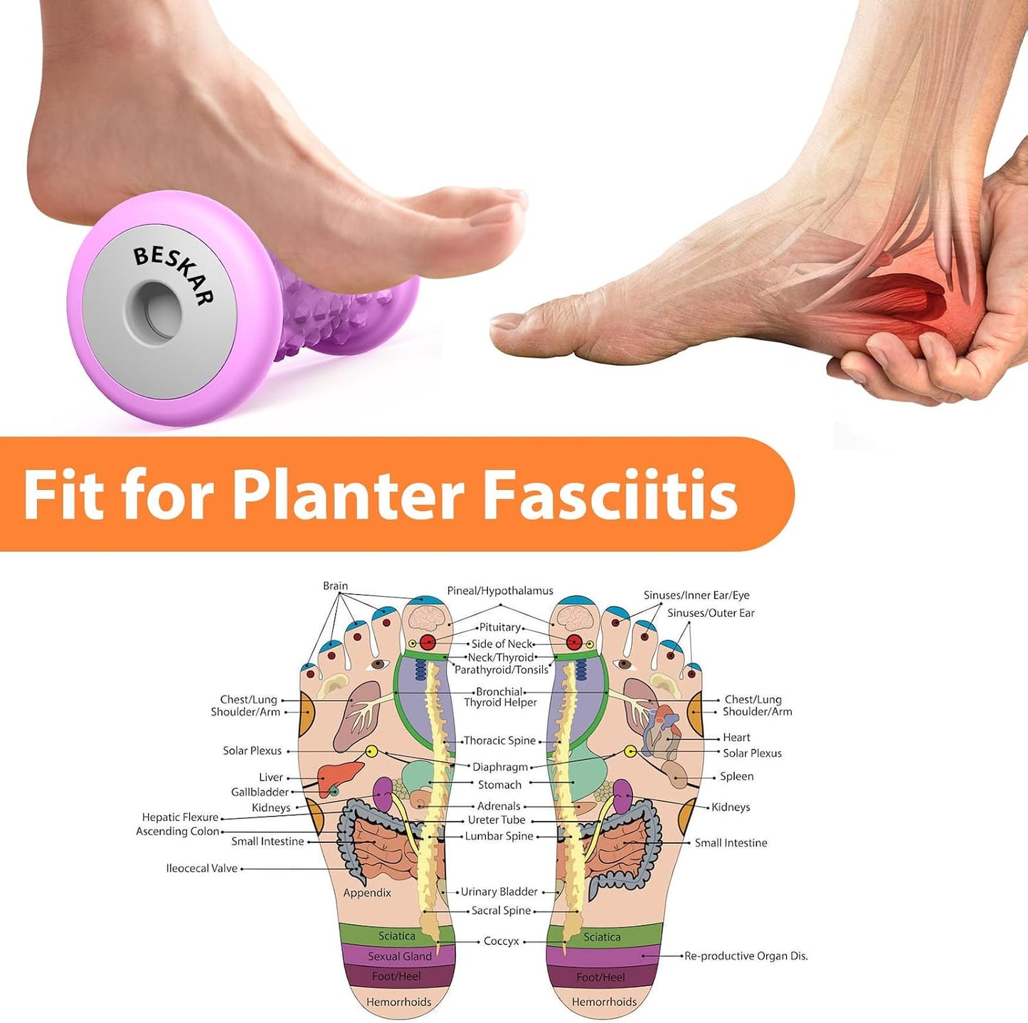 BESKAR Foot Massager Roller for Plantar Fasciitis Relief, Portable, Deep Tissue Muscle Massage, Foot Arch and Heel Pain, Reflexology Tool