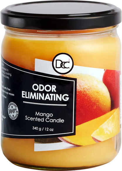 Vanilla Bean Odor Eliminating Highly Fragranced Candle - Eliminates 95% of Pet, Smoke, Food, and Other Smells Quickly - Up to 80 Hour Burn time - 12 Ounce Premium Soy Blend - Colors B
