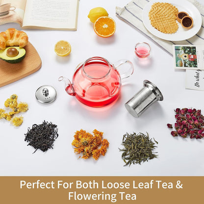 Glass Teapot with Removable Infuser, 20 oz/600ml Glass Tea Pot Small Borosilicate Tea Steeper Kettle with Loose Leaf Tea Strainer For Flower Blooming Tea, ClearTea Maker Pitcher