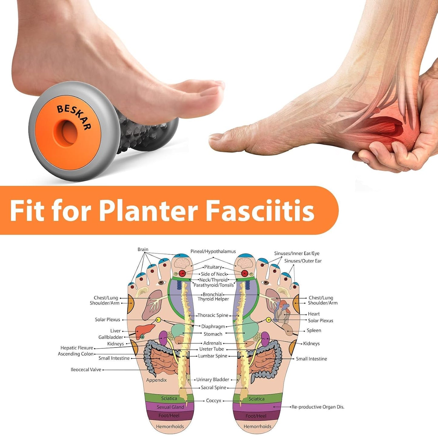BESKAR Foot Massager Roller for Plantar Fasciitis Relief, Portable, Deep Tissue Muscle Massage, Foot Arch and Heel Pain, Reflexology Tool