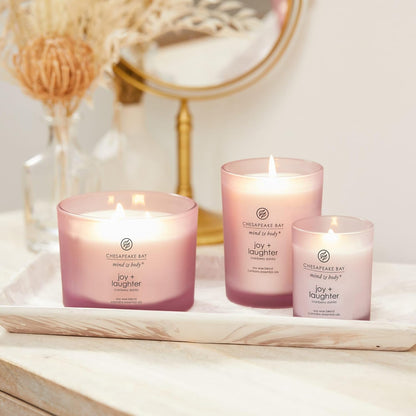 Chesapeake Bay Candle Scented Candle Serenity + Calm (Lavender Thyme) Coffee Table Home Décor