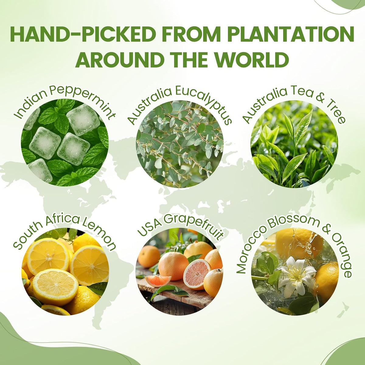 Auelife Men Essential Oils Set for Diffusers for Home, 6x10ml Scented Oil