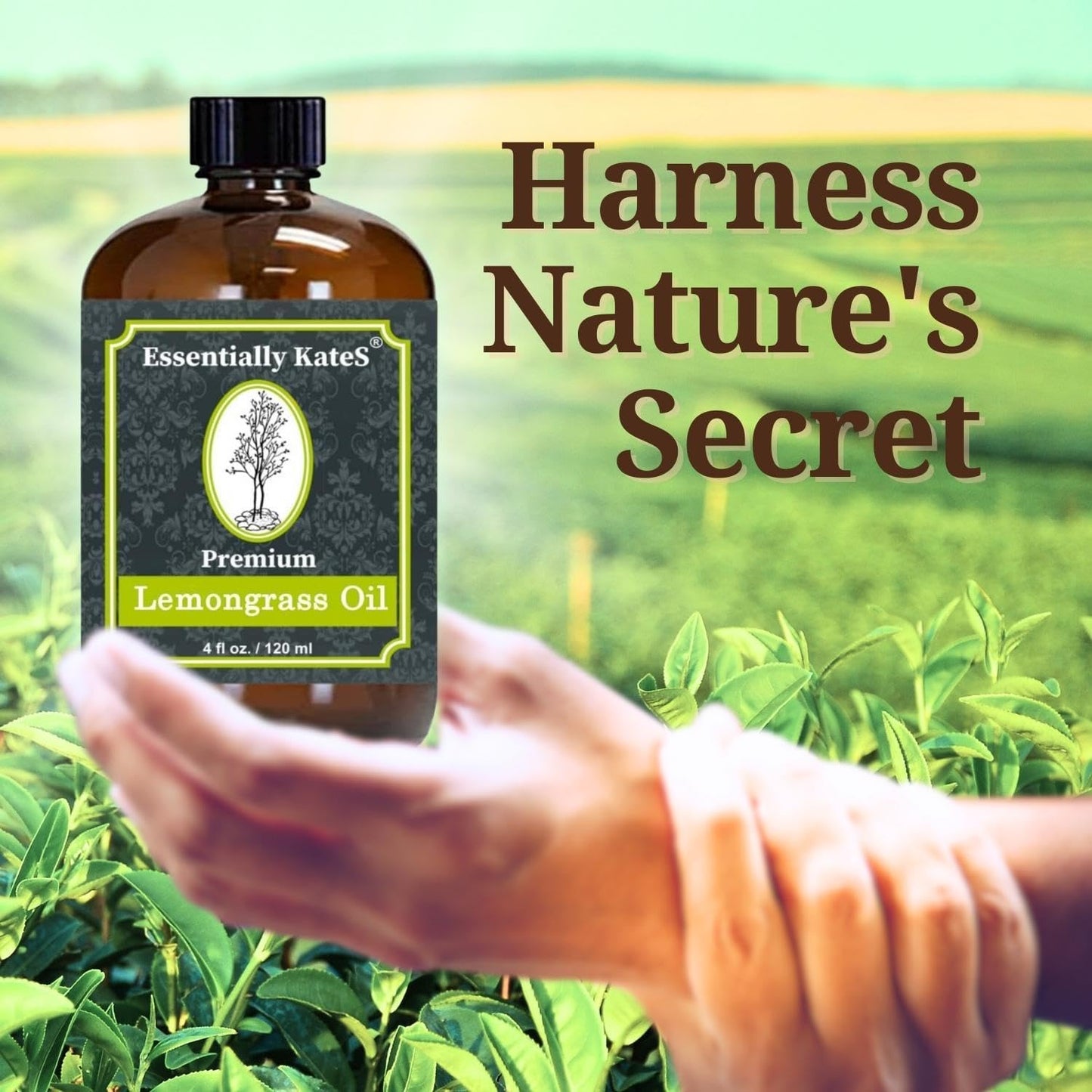 Essentially KateS Lavender Oil – 100% Pure & Natural, Steam-Distilled, with Glass Dropper, Roll-On Bottle & Sprayer for Aromatherapy, Skin & Home Use