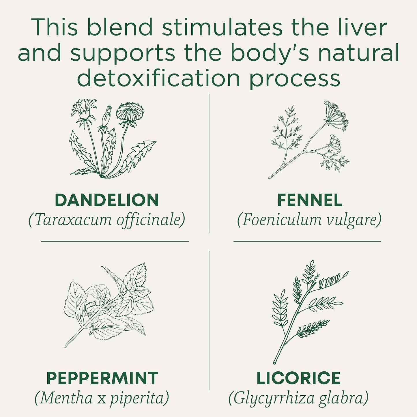 Traditional Medicinals Tea, Organic Roasted Dandelion Root, Supports Kidney Function & Healthy Digestion, 96 Tea Bags (6 Pack)