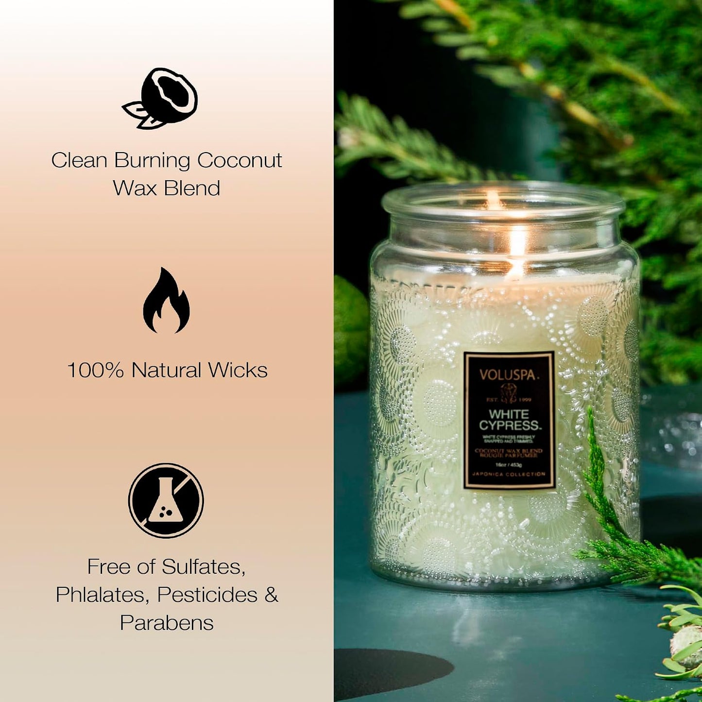 Voluspa Baltic Amber Candle, 18 oz, Coconut Wax Blend, Scented Candles for Home, 100 Hour Burn Time, Candle Jar
