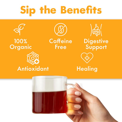 Big Heart Tea Co. Ginger Turmeric Tea, Certified Organic Tea Bags (10 Count) Herbal Caffeine Free Blend with Adaptogenic Tulsi, Peppercorn, Cinnamon - Cup of Sunshine