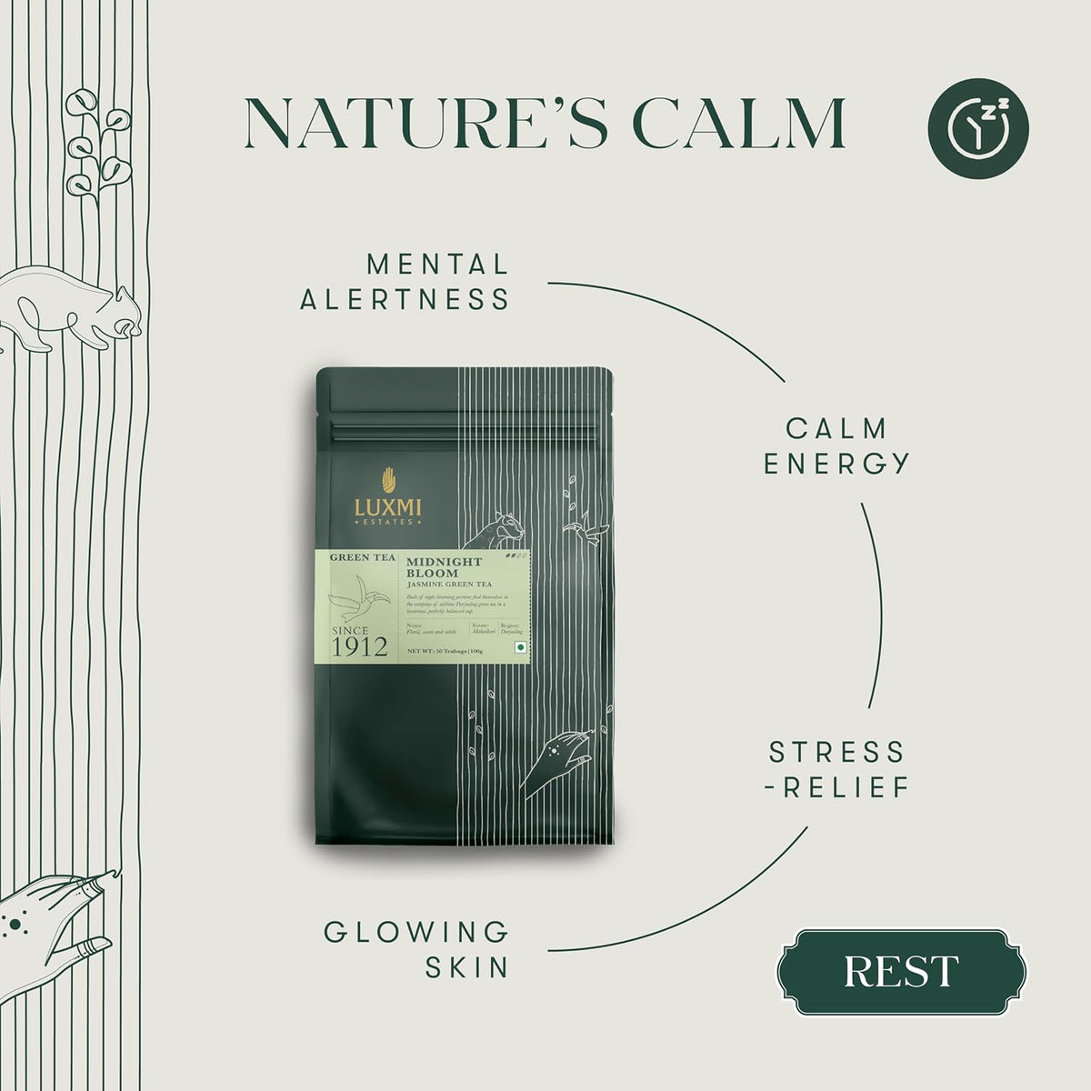 Luxmi Estates Midnight Bloom Jasmine Darjeeling Green Tea | 50 Biodegradable Teabags (50 cups)