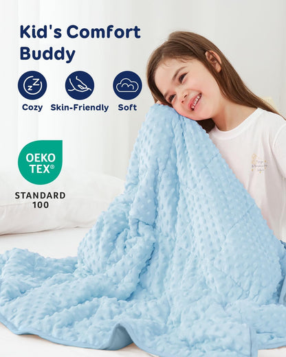 Kivik 2 lbs Weighted Lap Pad, Ultra Soft Minky Dotted Heavy Blankets Throw for Better Study Relaxing & Sleeping, Machine Washable, 20 x 30 Inches, Purple