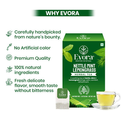 EVORA Nettle Leaf, Mint and Lemongrass Tea - 30 Ayurvedic Herbal Tea Bags