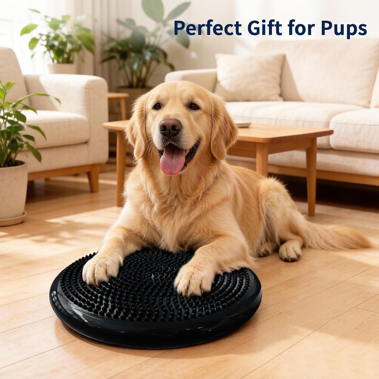 Wobble Cushion Balance Disc, Extra Thick Sensory Pad for Kids & Adults, Flexible Seating Core Strength Trainer for Posture Correction, Desk, Yoga & Stability Workout with Pump