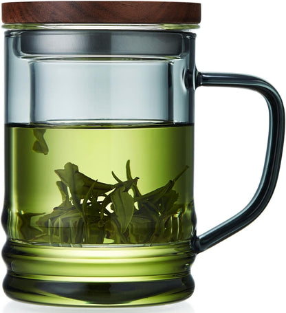 Unbreakable Glass Tea Cup with Infuser and Lid 14.5 fl oz, Heat Resistant Borosilicate Glass Tea Infuser Mug for Blooming and Loose Leaf Tea, Gas Stovetop Safe