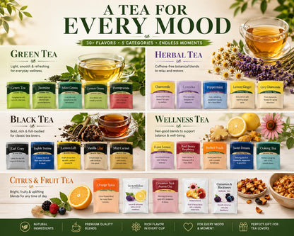 Generic Perfect Tea 48 Variety Pack Sampler Assorted Tea Bags | Black, Green, Decaf & Herbal Teas | Tea Gift Set, Office Breakroom (24)