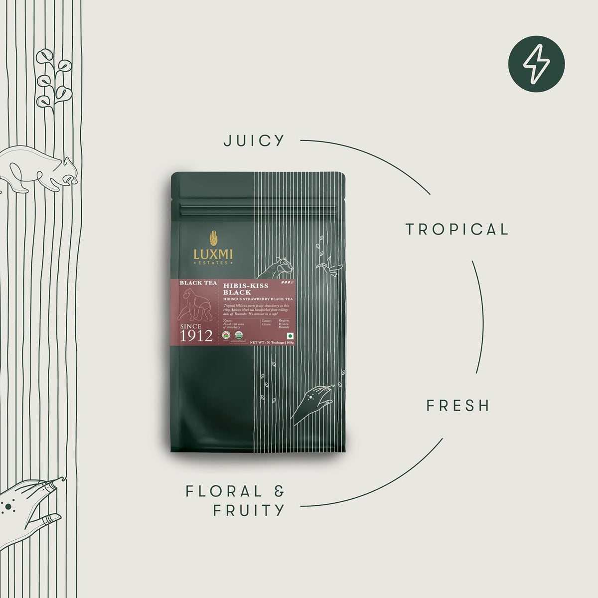 Luxmi Estates Hibis-Kiss Organic Hibiscus Tea (50 Tea Bags) Caffeinated Tea Bags For A Morning Boost and Natural Energy, With Certified Organic Black Tea
