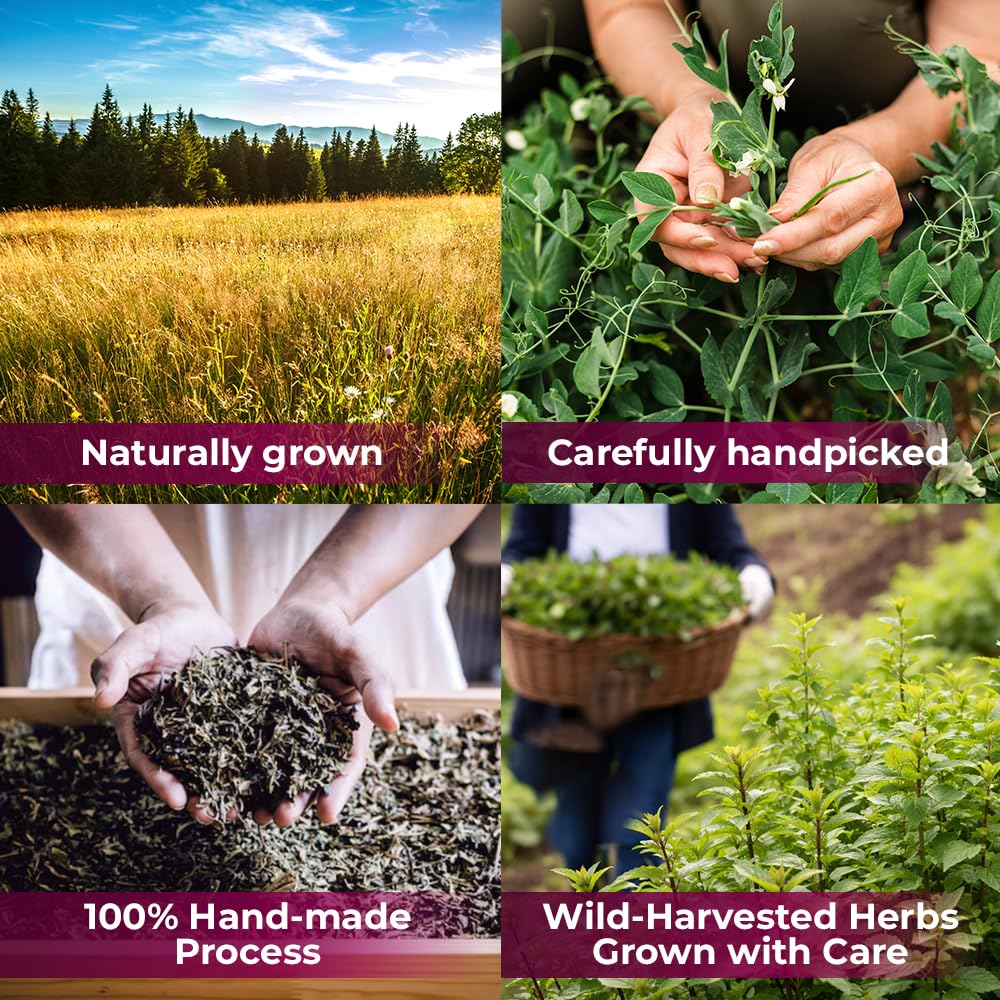4 oz. Milk Thistle Herb Dried Milk Thistle Herbal Tea (Silybum Marianum) - 113g Herb Tea Cardo Mariano
